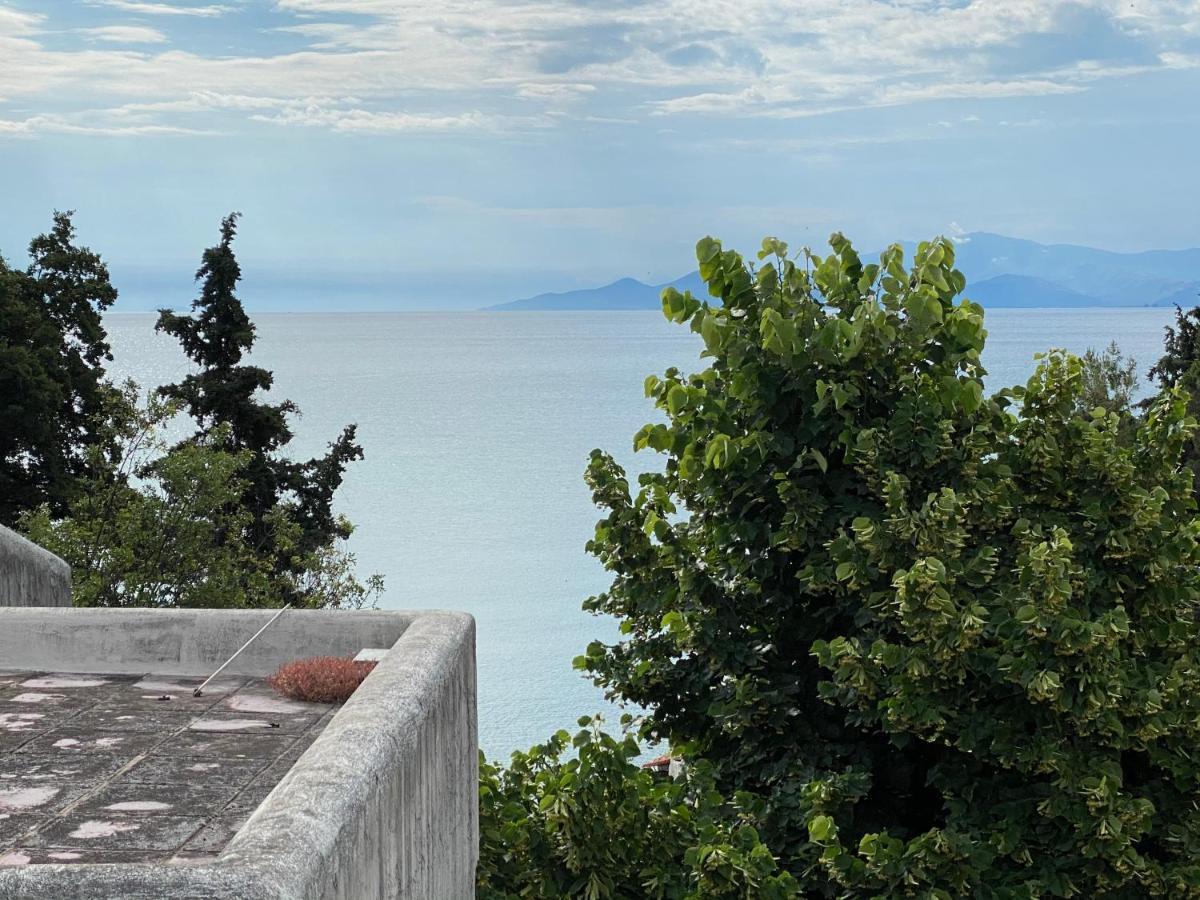 Irini Seaside Apartment PalaiónTsiflíkion Εξωτερικό φωτογραφία