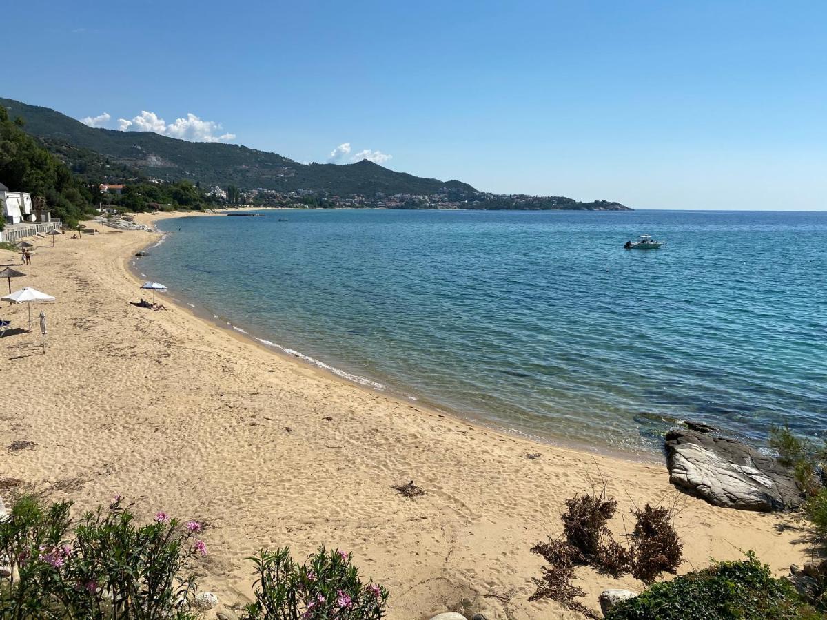 Irini Seaside Apartment PalaiónTsiflíkion Εξωτερικό φωτογραφία