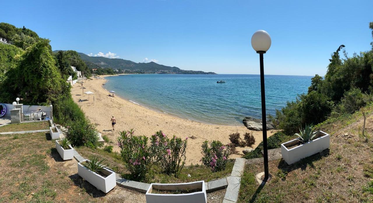 Irini Seaside Apartment PalaiónTsiflíkion Εξωτερικό φωτογραφία