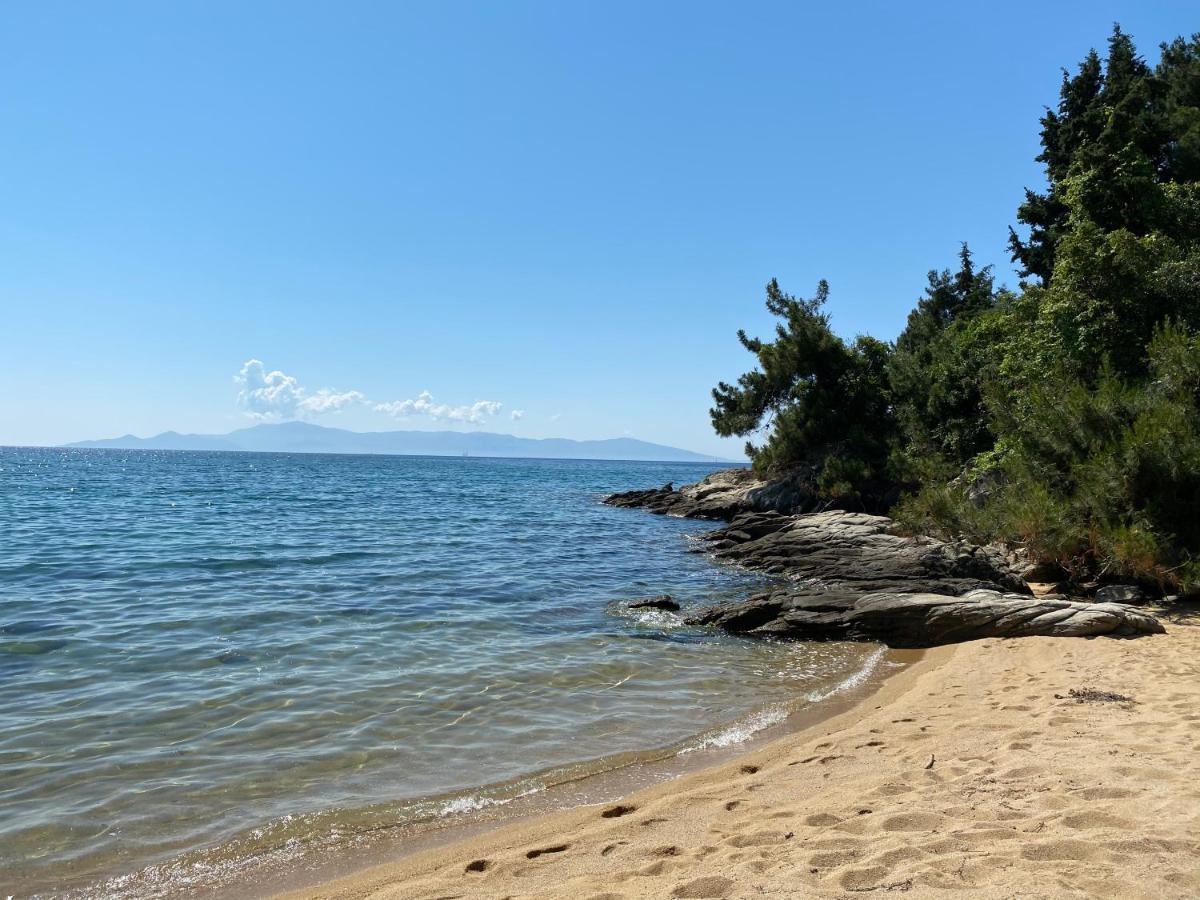 Irini Seaside Apartment PalaiónTsiflíkion Εξωτερικό φωτογραφία
