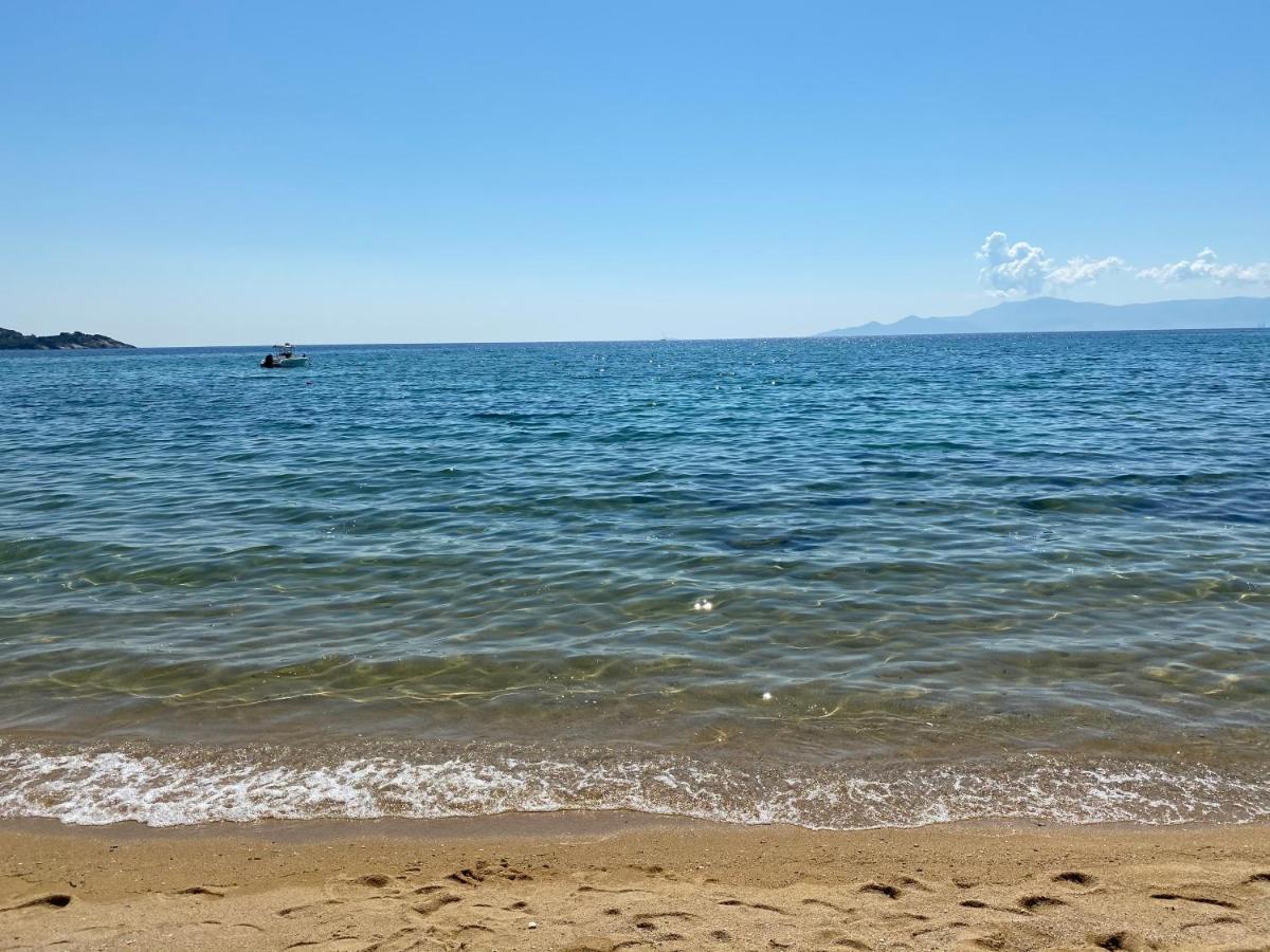 Irini Seaside Apartment PalaiónTsiflíkion Εξωτερικό φωτογραφία