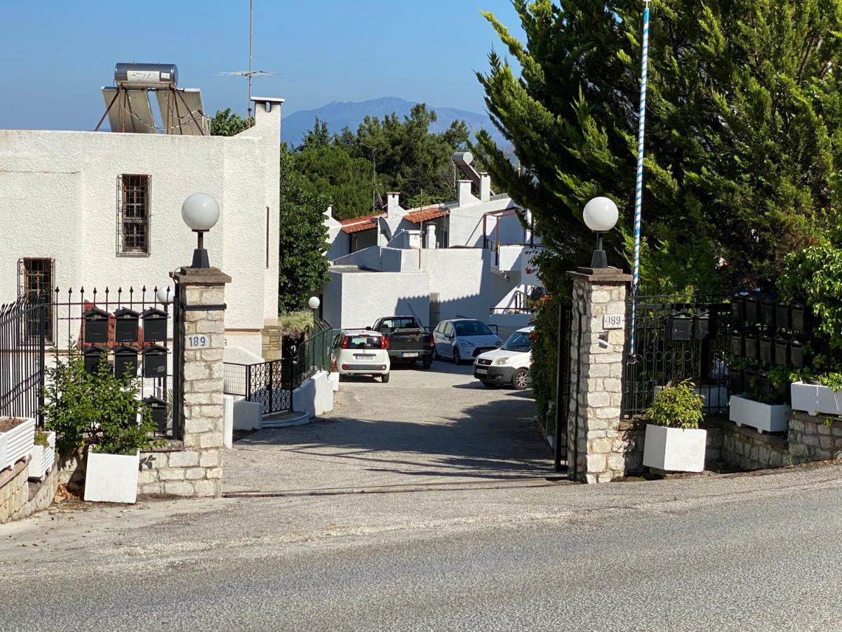Irini Seaside Apartment PalaiónTsiflíkion Εξωτερικό φωτογραφία