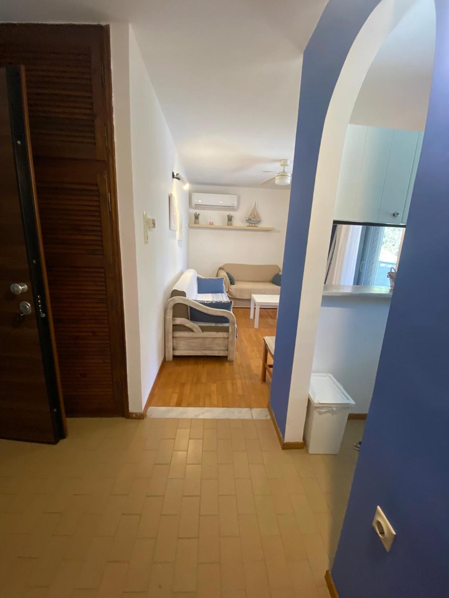 Irini Seaside Apartment PalaiónTsiflíkion Εξωτερικό φωτογραφία