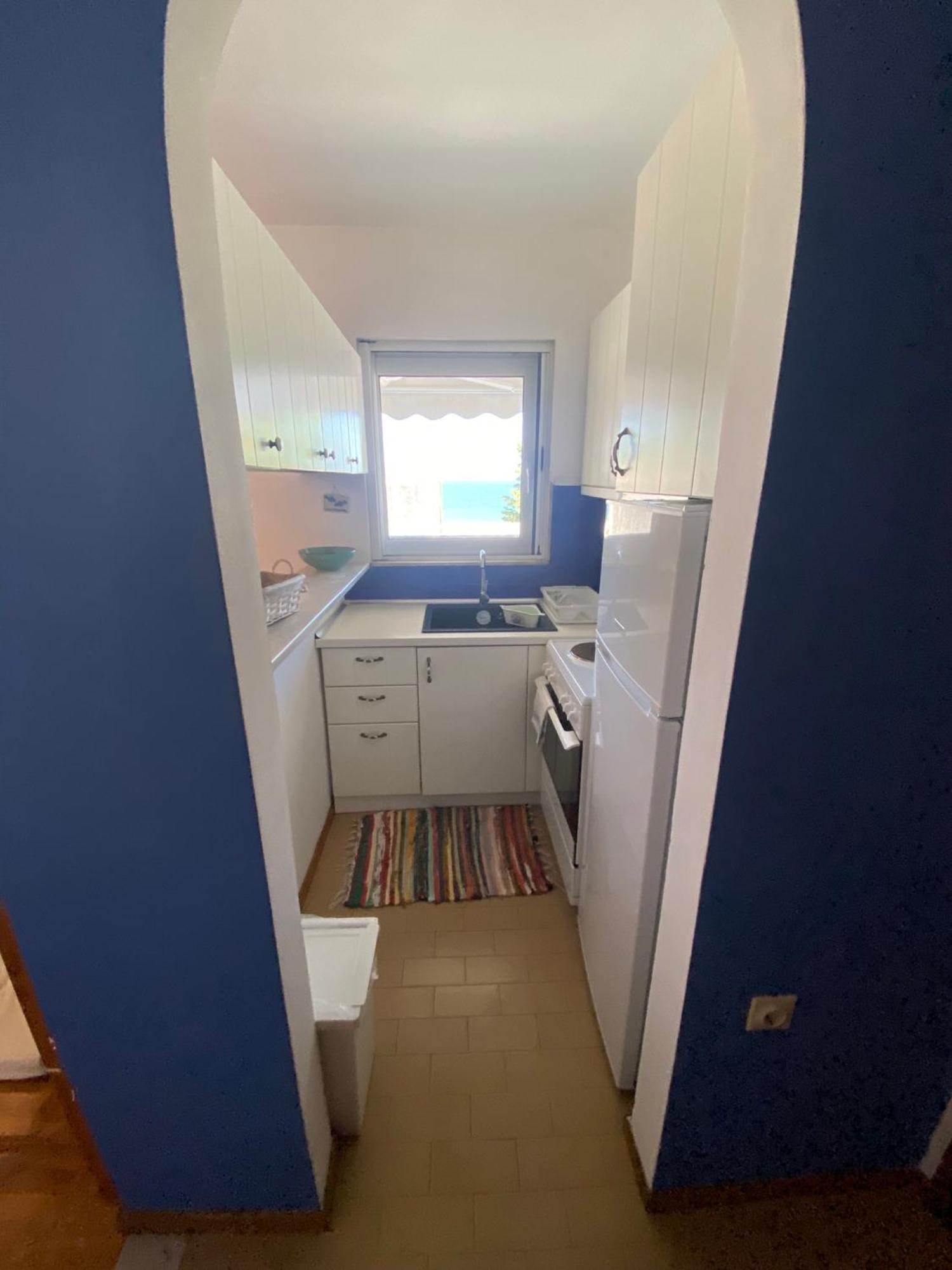 Irini Seaside Apartment PalaiónTsiflíkion Εξωτερικό φωτογραφία